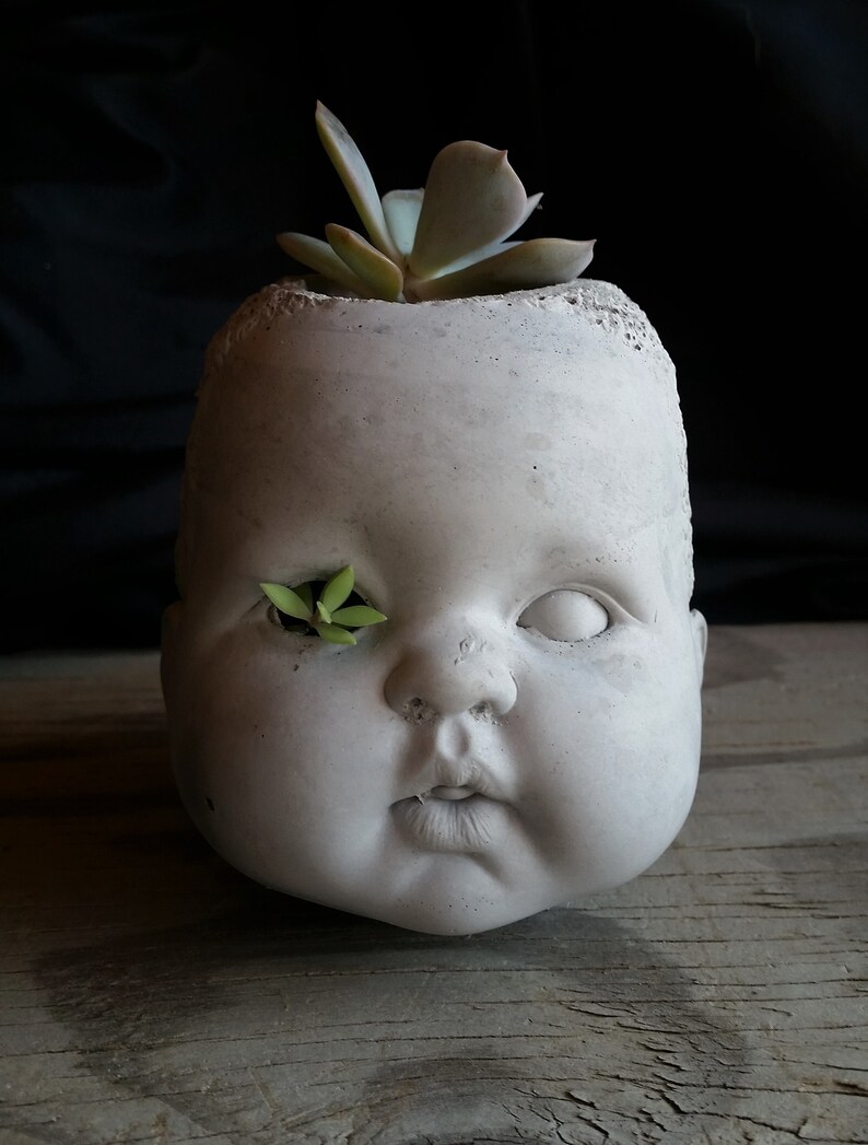 Big chubby baby doll head crying creepy cute cement cactus