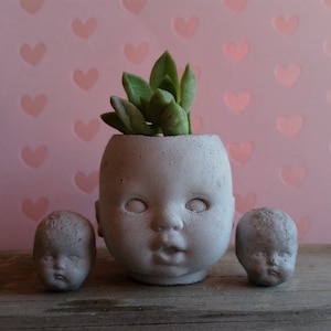 Könnte beinhalten: Ein weißer Keramiktopf in Form eines Puppenkopfes mit einer Sukkulente, die darin wächst. Zwei kleinere Puppenkopf-Töpfe befinden sich auf beiden Seiten des größeren Topfes.