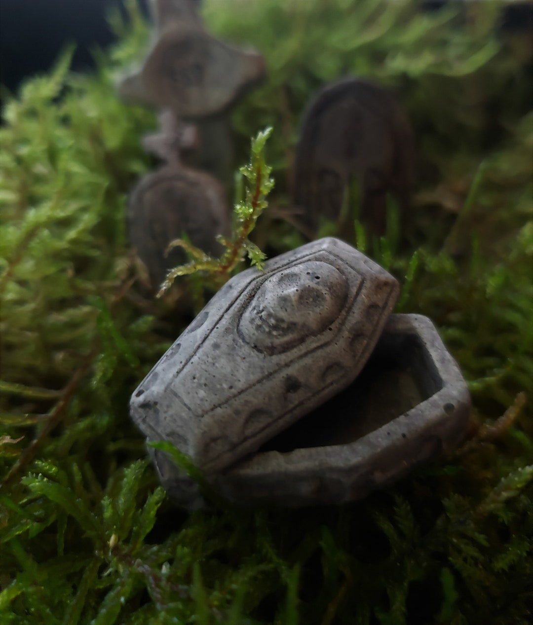 Tiny Coffin Casket Cement Potted Plant Terrarium Decorations Etsy