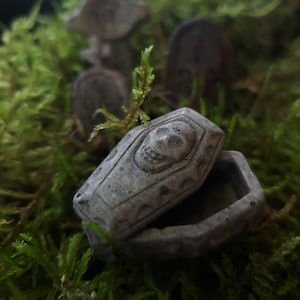 Tiny coffin casket cement potted plant terrarium decorations