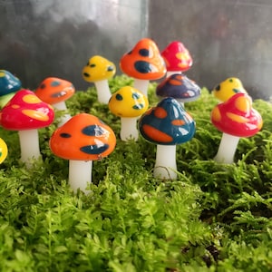 Könnte beinhalten: Eine Ansammlung farbenfroher Glaspilzfiguren mit weißen Stielen und leuchtenden Kappen in Rot, Orange, Gelb und Türkis. Die Pilze sind inmitten eines Bettes aus leuchtend grünem Moos angeordnet und schaffen eine skurrile Miniaturgartenszene.
