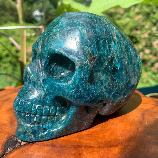 Large Blue Apatite Skull; 4.5” skull carving; crystal skull; crystal carving; skull