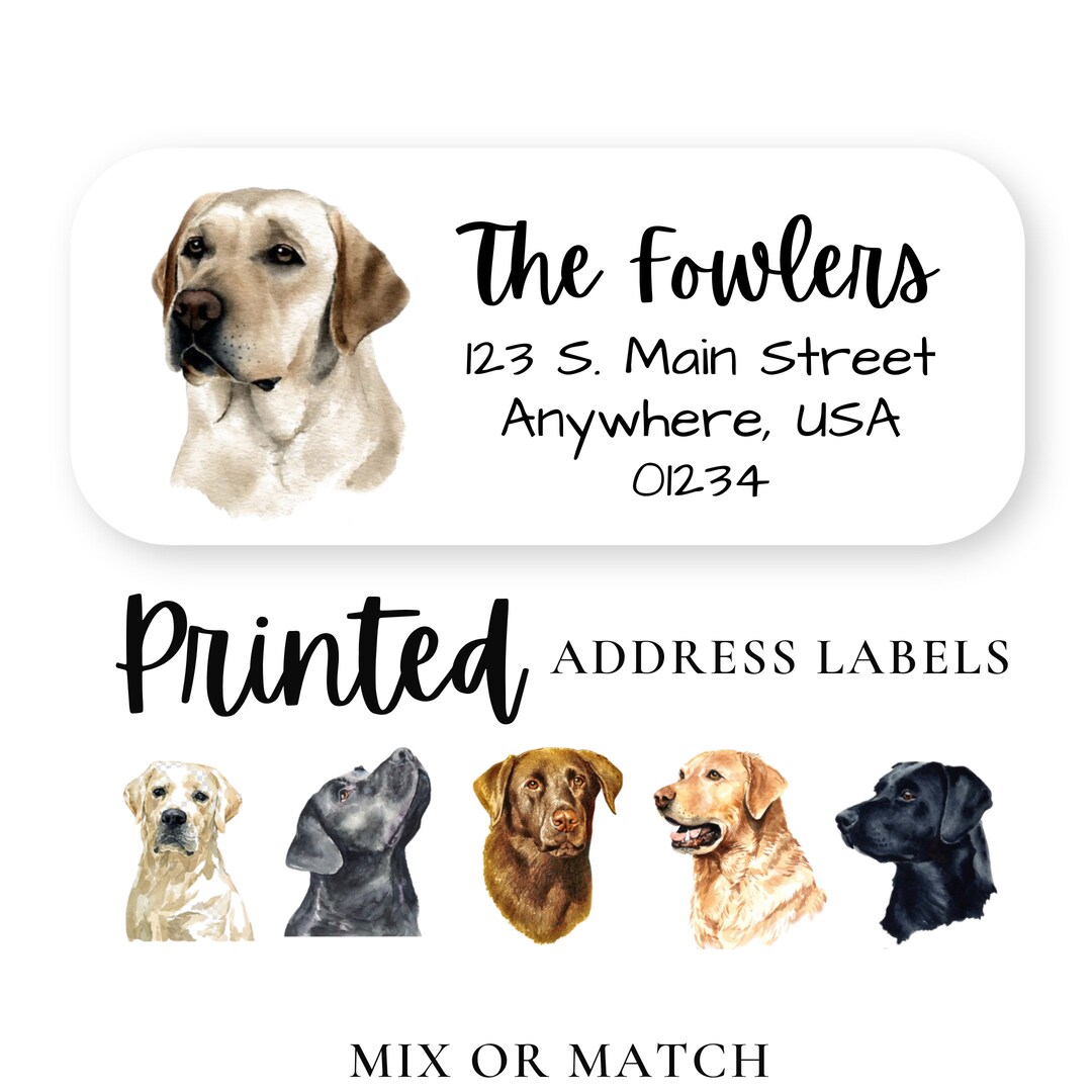 60 Labrador Retriever Address Labels, Labrador Retriever Return Address