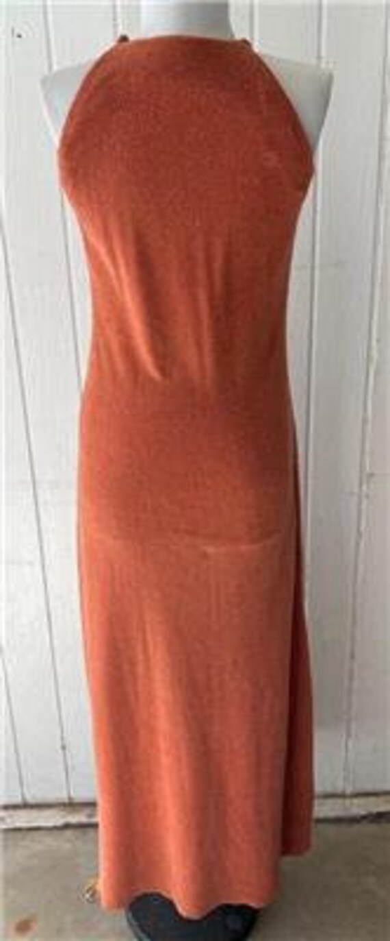 Vtg 1970's Long Terry Cloth Dress sz Small Sienna - image 4