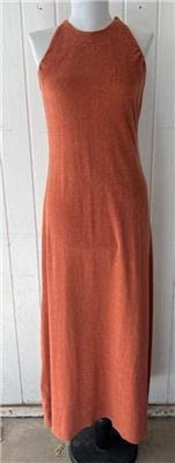 Vtg 1970's Long Terry Cloth Dress sz Small Sienna - image 2