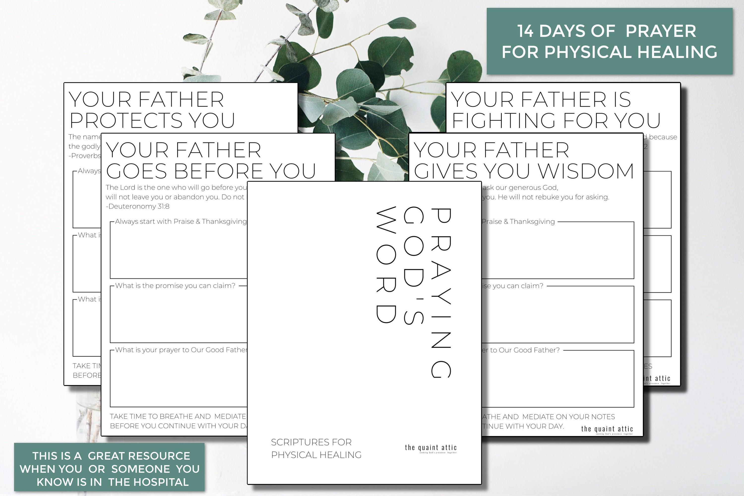 Praying God's Word for Physical Healing Pray Bible | Etsy