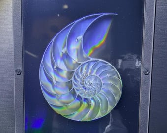 Nautilus Shell Embossed Hologram, incredible detail, sealed in a magnetic display case