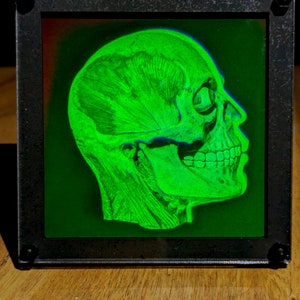 Ologramma vintage anni &#39;80, vero effetto 3D, teschio che cambia immagine, incorniciato, video da non perdere!