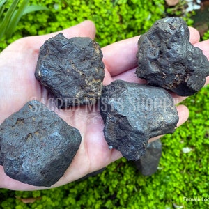 Lodestone Large Sexed High Magnet Magnetite Choose Female, Male, Pair for Attraction, Luck, Balancing, Manifestation, Grounding, Align Aura