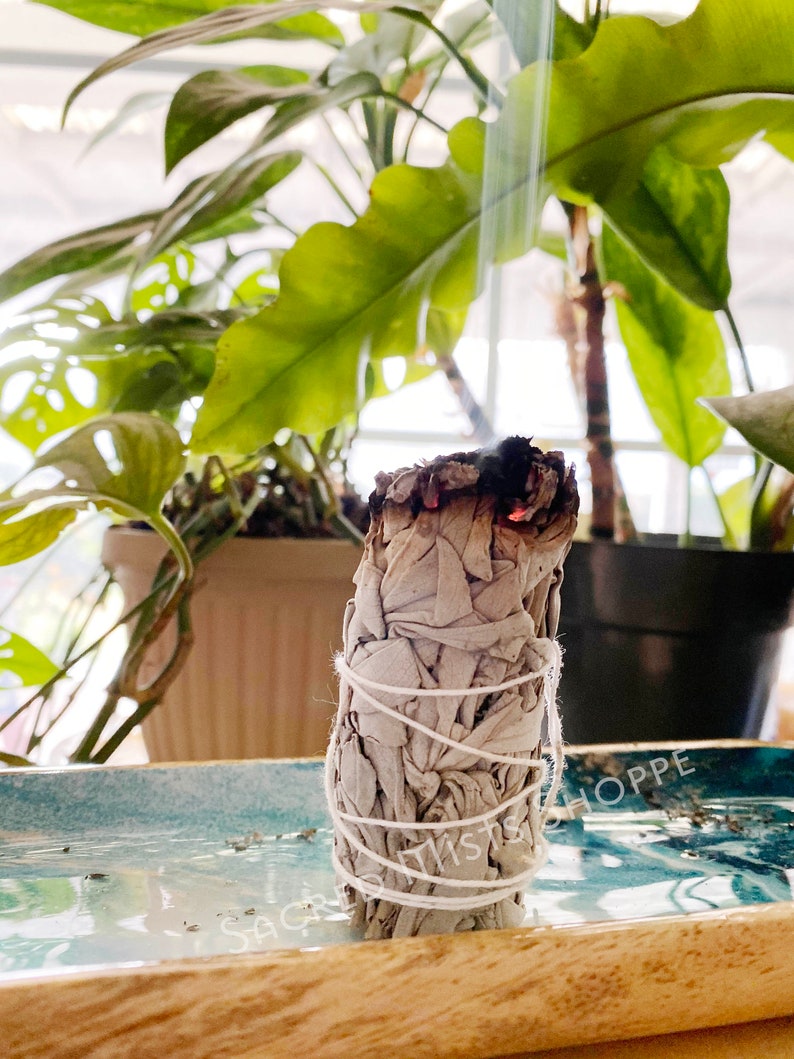 White Sage Smudge Organic Small Stick Smudge Bundle for Home and Energy Clearing, Removing Negativity, Purification, Rituals, and Incense image 5