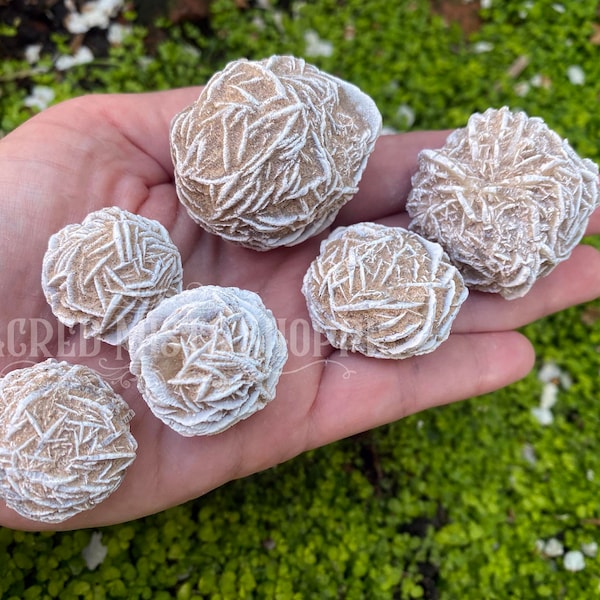 Gypsum Rosette Natural Desert Rose Selenite Spirit Guardian, Grounding, Balance, Prosperity, Confidence, Remove Blockages, Protection, Luck