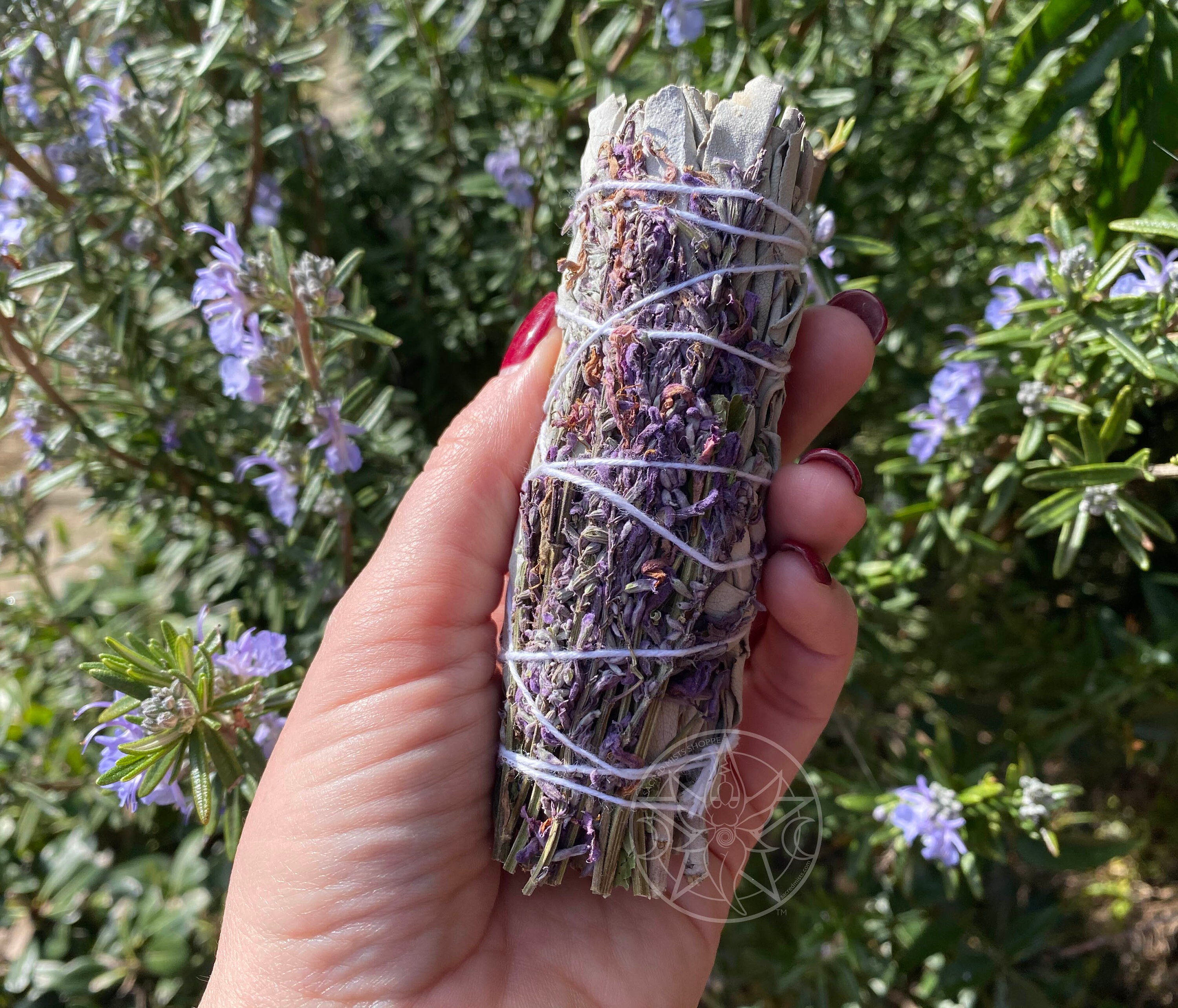 White Sage + French Lavender Organic Smudge Stick Bundle for Energy C…