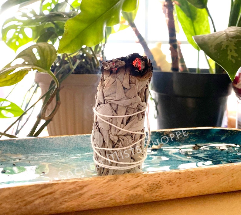 White Sage Smudge Organic Small Stick Smudge Bundle for Home and Energy Clearing, Removing Negativity, Purification, Rituals, and Incense image 3