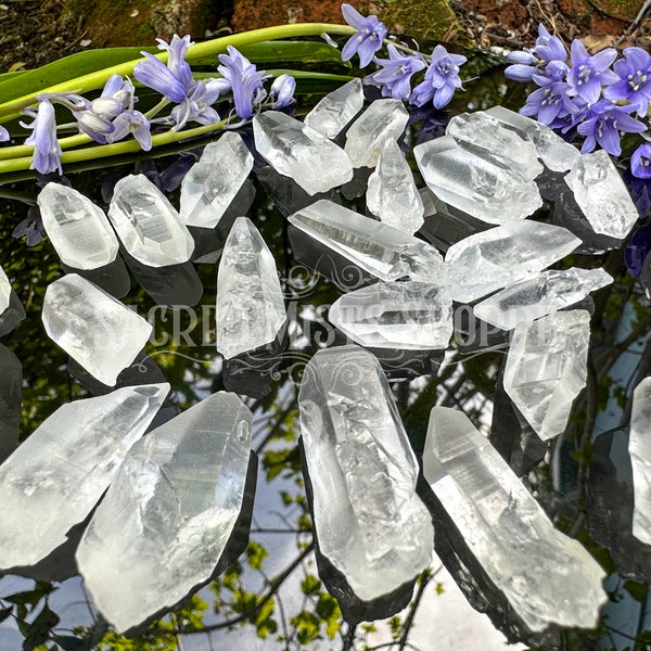 Lemurian Seed Crystal Point AA+ Clarity Natural for Focus, Psychic Ability, Healing, Awareness, Ease Anxiety, Inner Light, Grids, Meditation