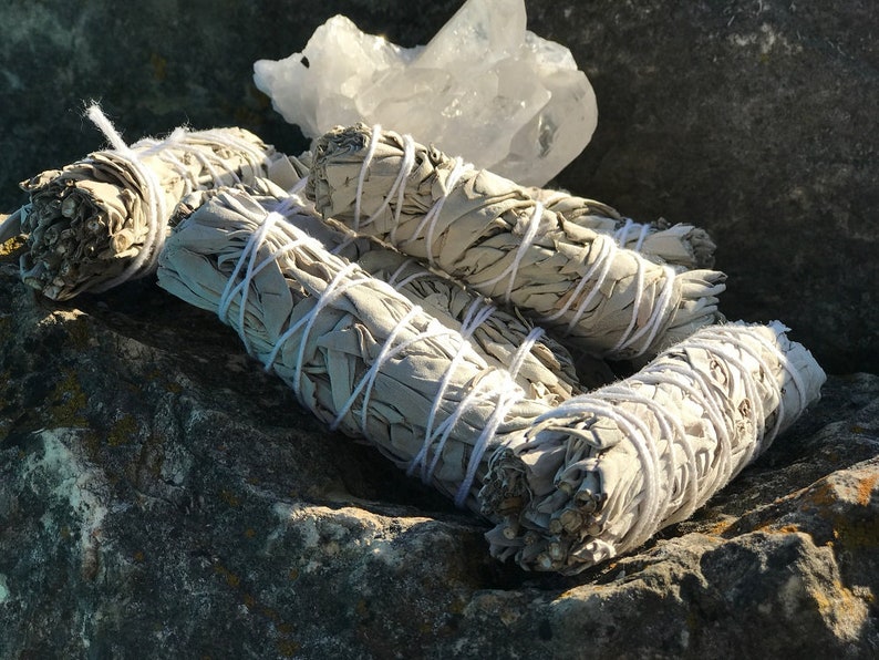 White Sage Smudge Organic Small Stick Smudge Bundle for Home and Energy Clearing, Removing Negativity, Purification, Rituals, and Incense image 1