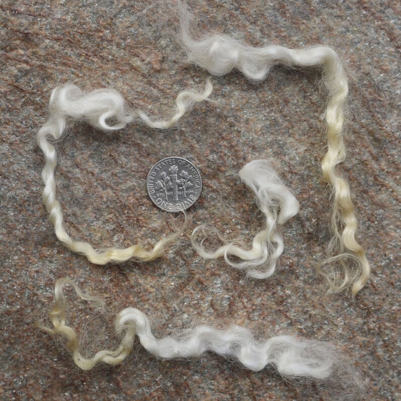 KID MOHAIR LOCKS Curly Wool Fiber for Kid Crafts Spinning Etsy