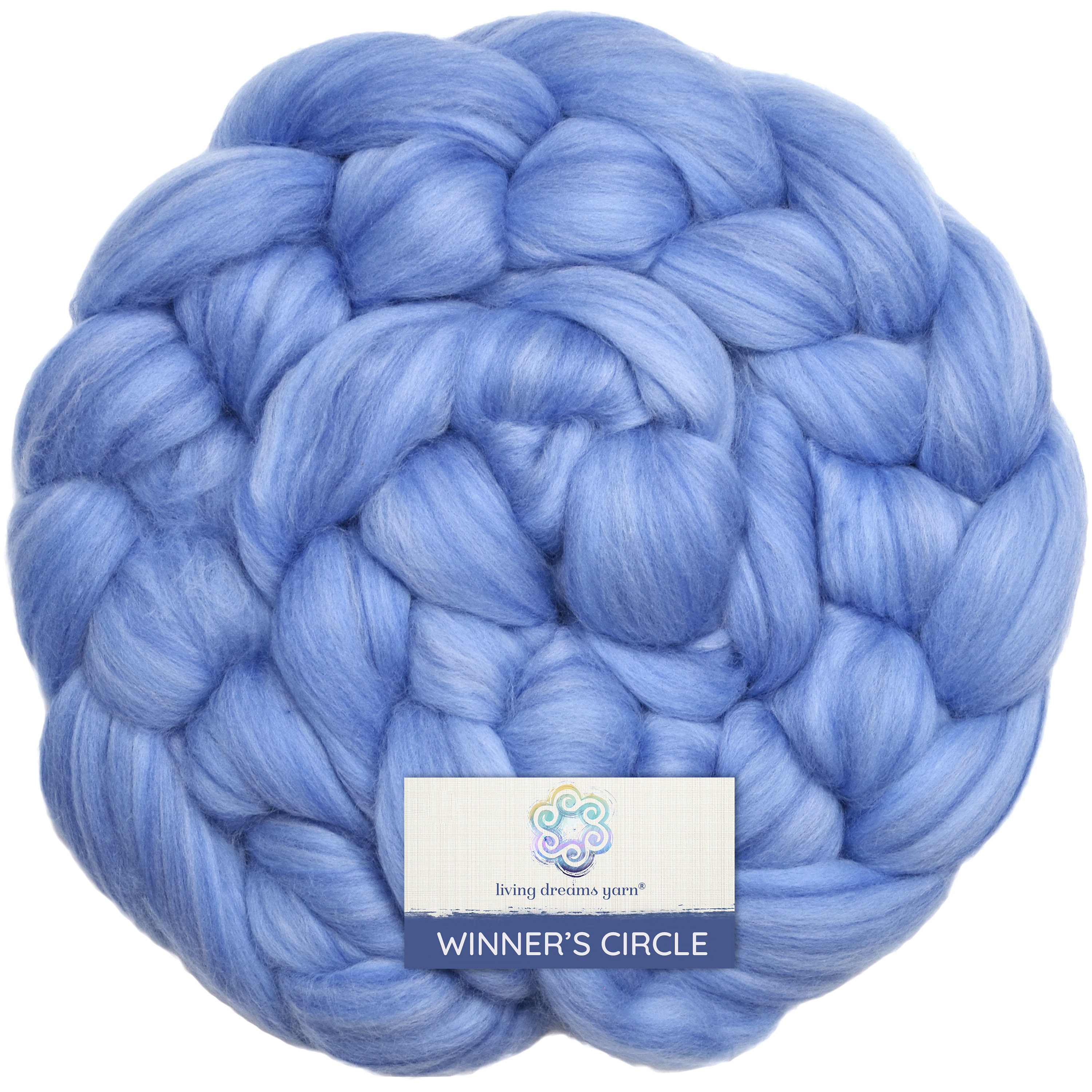 Ice Blue Wool Roving for Needle Felting, Wet Felting, Spinning, Dyed  Felting Wool, Light Blue, Fiber Art Supplies 