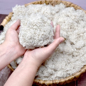 Washed Sheep Wool Filling. Natural Organic Wool Stuffing for Toys, Pillows, Cushions. Super Clean Raw Dense Wool Filler, Natural White