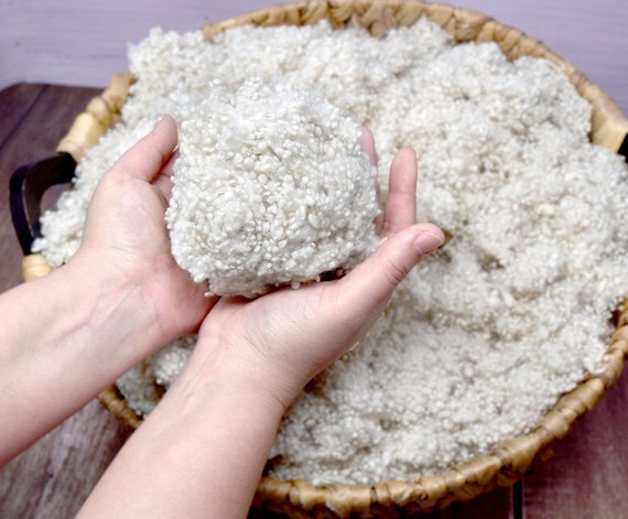 Washed Sheep Wool Filling. Natural Organic Wool Stuffing for Toys, Figures, Cushions. Super Clean Raw Dense Wool Filler, Natural White