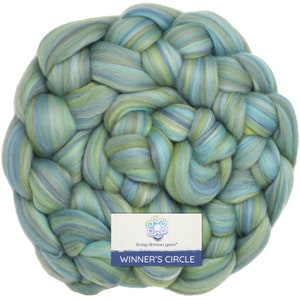 100% Superfine Merino Fiber: Soft Combed Top Roving, Color Blend for Spinning, Felting, Weaving, Textile Arts. Winner's Circle - Tidepool