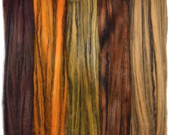 Superfine Merino Combed Top Roving with Tencel for Spinning and Felting. Supersoft, Hand Dyed, Variegated Color Collection. Harvest