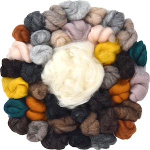 Needle Felting Wool Roving Variety Bag. Carded Corriedale Wool & White Clean Core Wool. Extra Large Felting Wool Collection, Animal Colors.