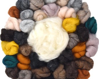 Needle Felting Wool Roving Variety Bag. Carded Corriedale Wool & White Clean Core Wool. Extra Large Felting Wool Collection, Animal Colors.