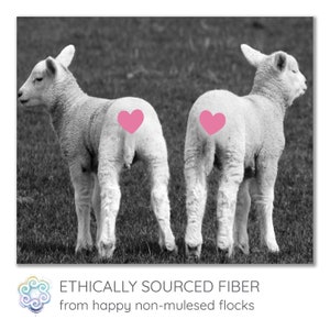 Peut inclure: Deux agneaux noirs et blancs se tenant c&ocirc;te &agrave; c&ocirc;te dans un champ. Chaque agneau a un c&oelig;ur rose dessin&eacute; sur ses fesses. Le texte "ETHICALLY SOURCED FIBER from happy non-mulsed flocks" est en bas de l'image.
