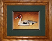 Pintail Framed Decoy Art Print finished in handsome oak frame ready to accent any wall or room in home or office