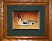 Pintail Framed Decoy Art Print finished in handsome oak frame ready to accent any wall or room in home or office
