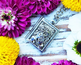 Magical Snake Book Locket / Spell Protection Jewelry / Wiccan Sigil Necklace / Witchy Gift