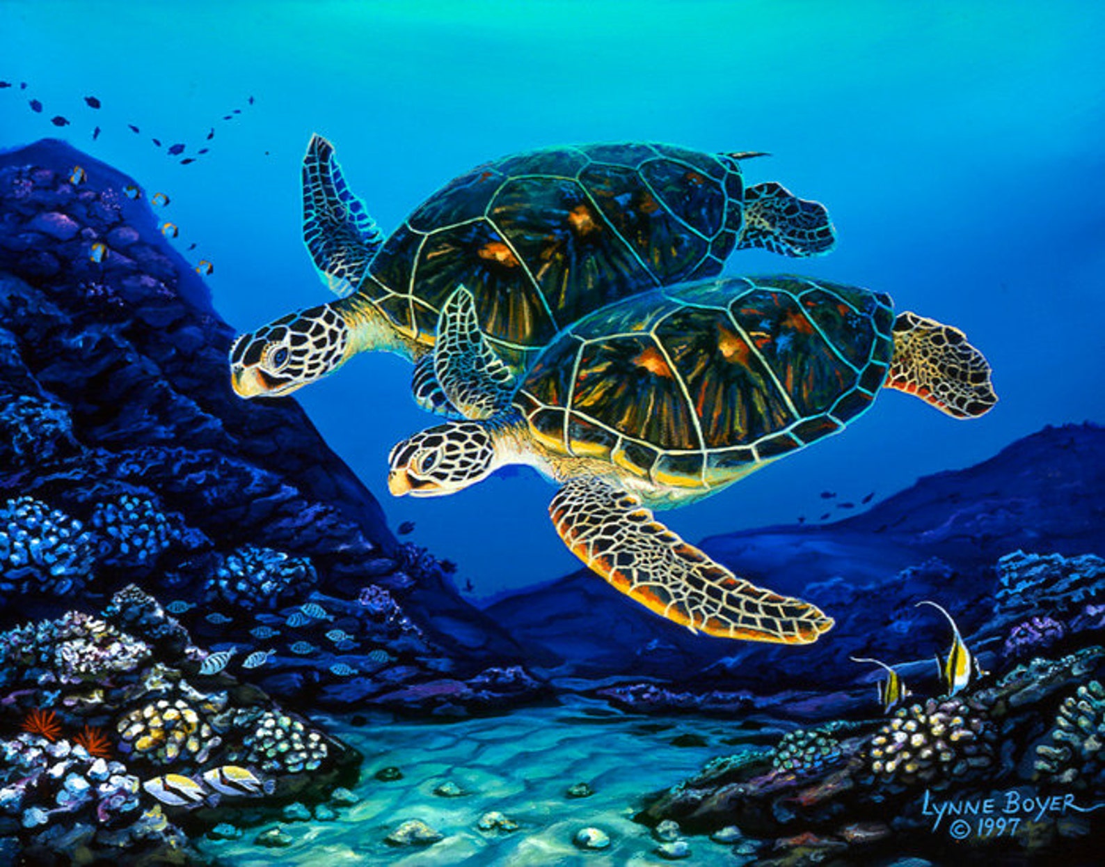 Черепахи пара. Морская черепаха. Морская черепаха арт. Стая морских черепах. Черепаха арт.
