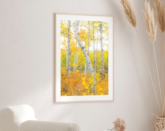 Fall Utah Aspen Tree Canvas, Nature Photography, Landscape Decor, Minimalist Wall Art, Tranquil Forest Print  Autumn Colors, Mountain Print