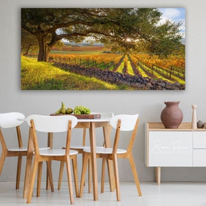 California Wine Country, Vineyard Print, Panorama Oak Tree, Large Napa Valley Photo, Autumn Home Decor Canvas, Harvest Green Gold, Oakville image 7