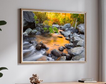 Autumn Trees Creek, Sierra Nevada Print, Boulders Flow Reflection Canvas, Hwy 395 Large Nature California Fine Art, Glowing Water Scene Deco