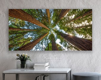 Redwood Photo, Vertical Tree Panorama, Natural Scene Canvas, Redwood Forest Print, Northern California Photography, Humboldt Forest, Serene