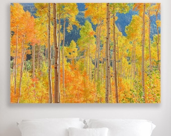Large Colorado Fine Art Photo, Autumn Aspen Landscape, Serene  Golden Aspen Print, Rocky Mountain Canvas, Fall Rustic Cabin Photo, Peaceful