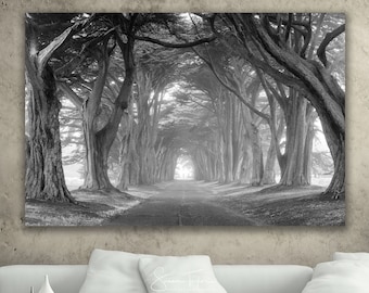 Fotografía de árboles en blanco y negro, arte de lienzo de la naturaleza de California, impresión del dosel del túnel del ciprés, orilla del mar de Point Reyes, foto en blanco negro