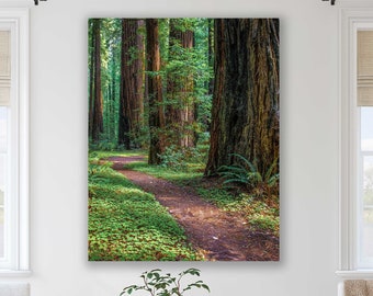 California Landscape Impressionist Watercolor Painting Peaceful Redwood Forest Grove