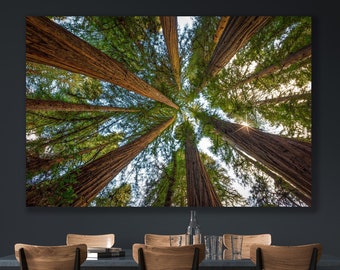 Redwood Forest Landscape Photo, Northern California Redwood Tree, Large Nature Print, Scenic Peaceful Canopy Canvas, San Francisco Wall Art