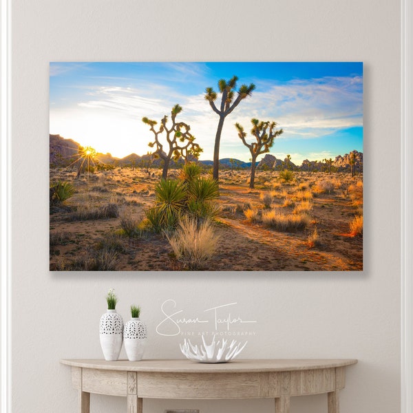 Joshua Tree Wall Art, California Desert Photo, So Cal Fine Art, Mojave Desert Picture, Large Desert Tree Canvas, Southwest Sunrise Landscape