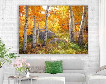 Large Aspen Cabin Fall Print, Forest Photo, California Autumn Fine Art, Nature Fine Art, Giant Office Decor, Photo On Canvas, Hope Valley