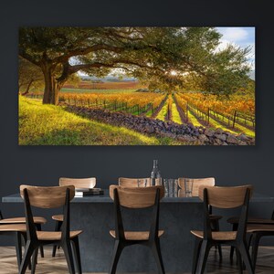 California Wine Country, Vineyard Print, Panorama Oak Tree, Large Napa Valley Photo, Autumn Home Decor Canvas, Harvest Green Gold, Oakville image 3