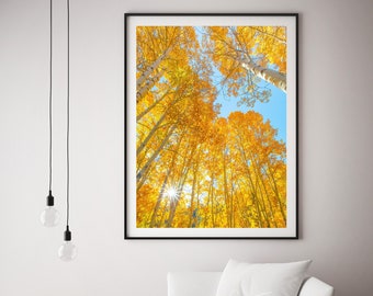 May include: A framed photograph of tall trees with vibrant yellow leaves, set against a bright blue sky. The sun shines through the branches, creating a starburst effect. The artwork is displayed above a white couch.