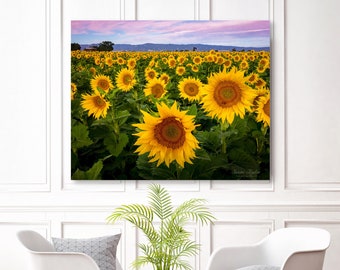 Large Canvas Flower Wall Art Sunflower Home Decor California | Etsy