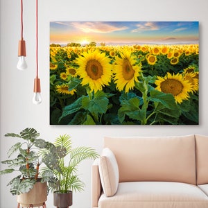 Sunflower Photograph Oversized Flower Print California - Etsy