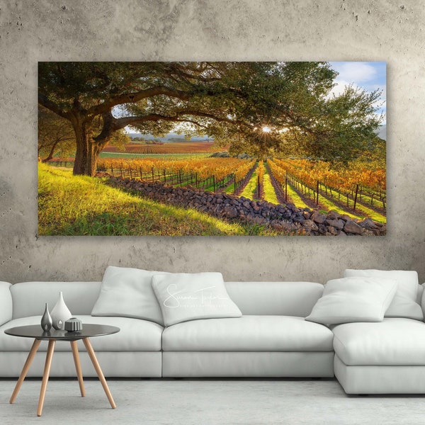 Vineyard Print, Panorama Oak Tree, Large Napa Valley Photo, Autumn Home Decor, California Wine Country, Harvest Art, Green Gold, Oakville