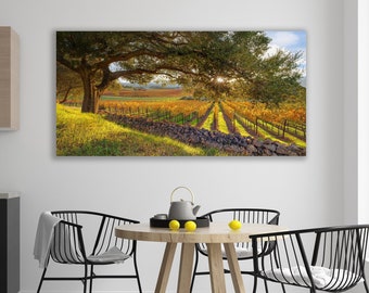 California Wine Country, Vineyard Print, Panorama Oak Tree, Large Napa Valley Photo, Autumn Home Decor Canvas, Harvest Green Gold, Oakville