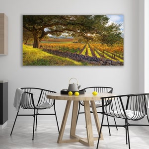 California Wine Country, Vineyard Print, Panorama Oak Tree, Large Napa Valley Photo, Autumn Home Decor Canvas, Harvest Green Gold, Oakville image 1