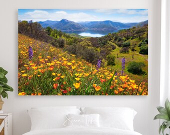 California Poppies Photography, Pine Flat Lake, Mountain Poppy Wall Art, California Lupine Wildflowers, Healing Print, Large Peaceful Decor